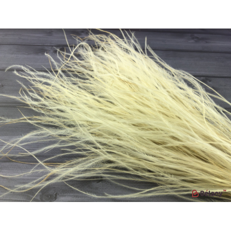 Floare Uscată „Stifa” # 6