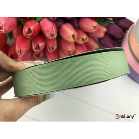 Măslin De Panglică