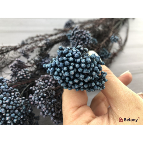 Floare Uscată "ozotamnus" # 5