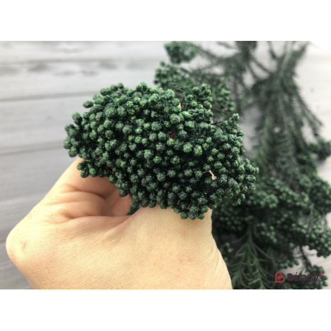 Floare Uscată "ozotamnus" # 9