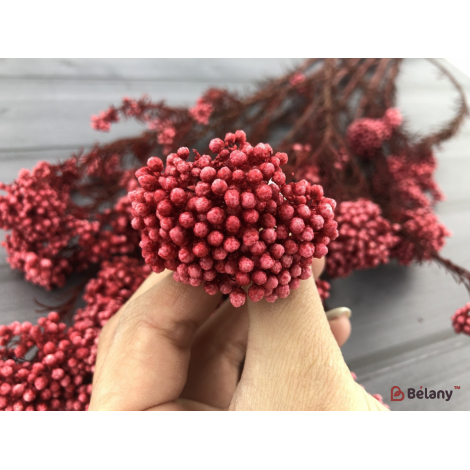 Flori Uscate "ozotamnus" # 15