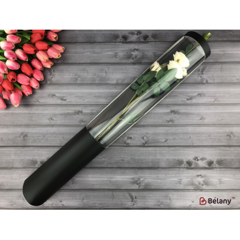 Тубус для цветов "Window to paris" черный