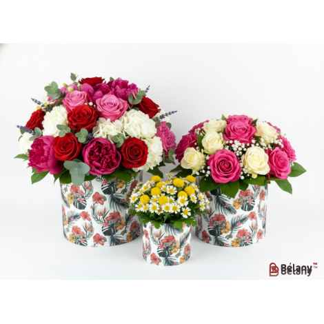 Круглая коробка "Garden of Shooting stars  M"