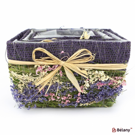 Set De Ghivece Patrate "forest" Liliac