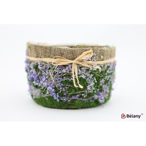 Set Ghivece De Flori „Pădure” Cu Pânză Mov