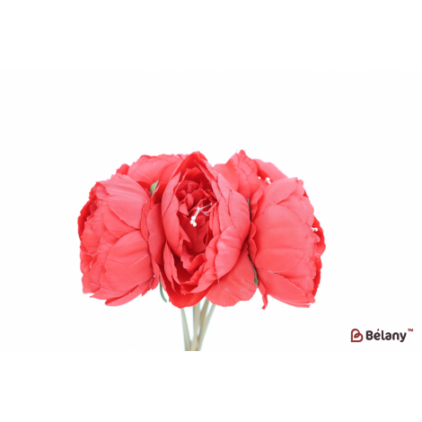 Buchet De Bujori "bujori"