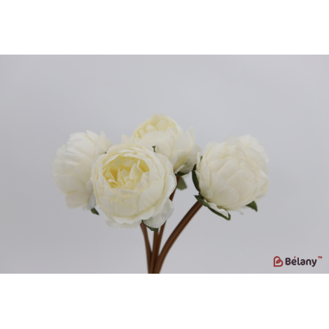 Buchet De Bujori 7 Ramuri "a Lot Bujori" Alb