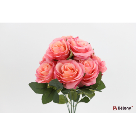 Buchet De Trandafiri 9 Muguri "trandafiri" Roz