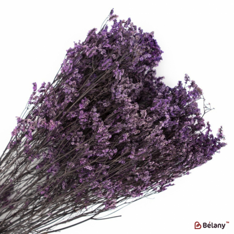 Floare Uscată „29”