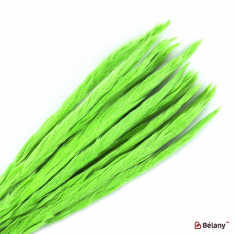 Iarba De Pampa Verde