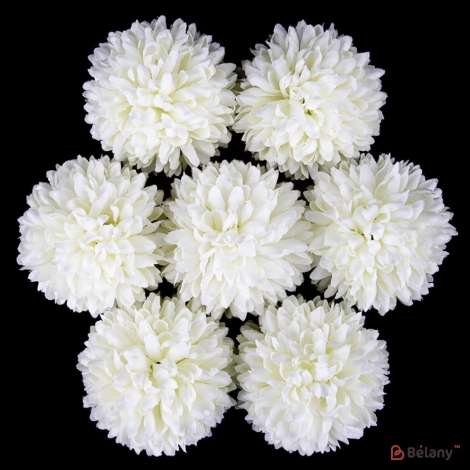 Capetele Florilor "crizantema" Albe