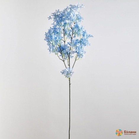 Ramura Liliac Albastru