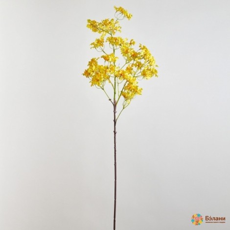 Ramura Forsythia Galbenă În Trei Ramuri