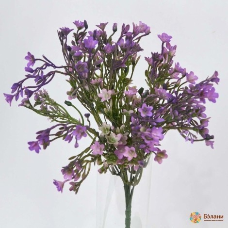 Ramura "mini" Verde-Violet