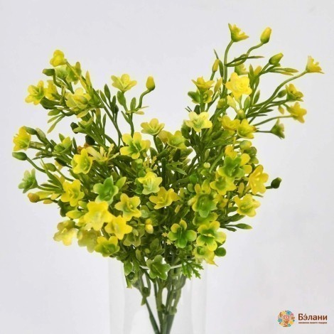 Ramura "mini" Verde-Galben