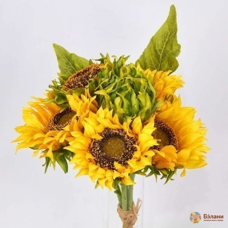 Buchet De Floarea Soarelui "soare" Pe 5 Ramuri