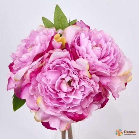 Buchet Bujori Spray Liliac-Alb 3 Buc.