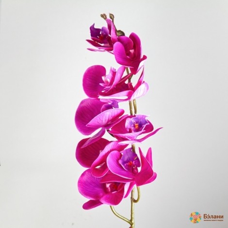 Ramura „Orhideea Nr. 2” Fucsia