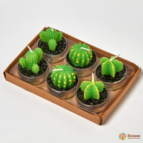 Lumanari "little Cactus No. 2" Amestec