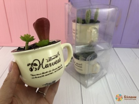 Cana Din Ceramica Cu Fasole Suculenta "harvest".