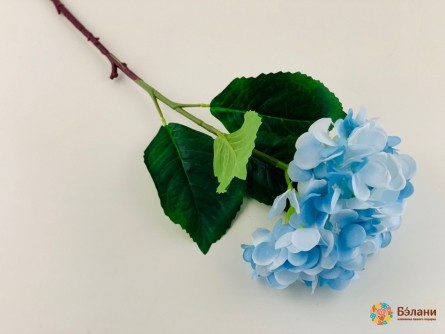 Ramura "hydrangea" Albastru L