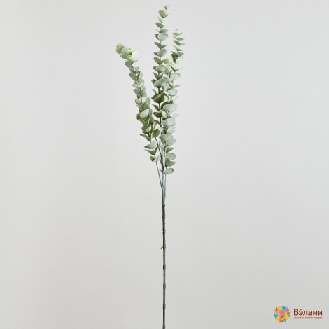 Ramura „Eucalipt Nr. 2” Verde