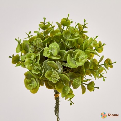 Ramura „Eucalipt Nr. 5” Verde