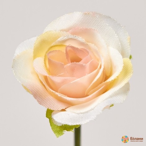 Crema Capete De Flori "trandafir Nr. 1".