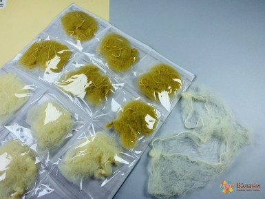 Plasa Pentru Coafuri Lumină Mică