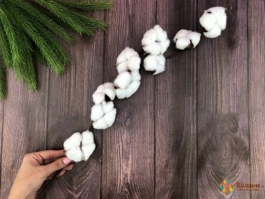 Ramura De Bumbac "bumbac" Pe 9 Capete