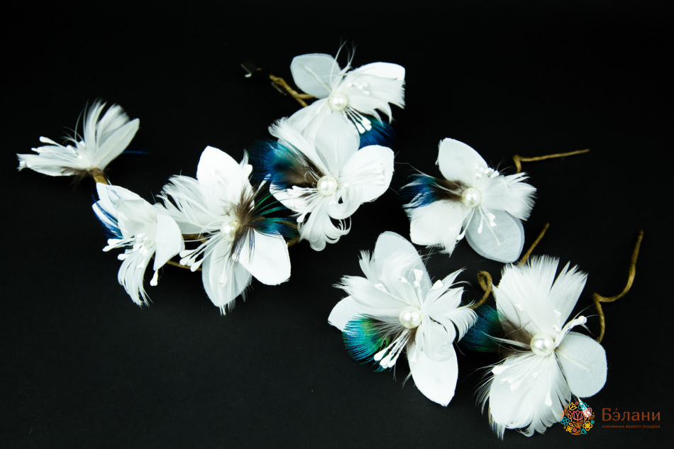 Ramură Cu Pene De Păun