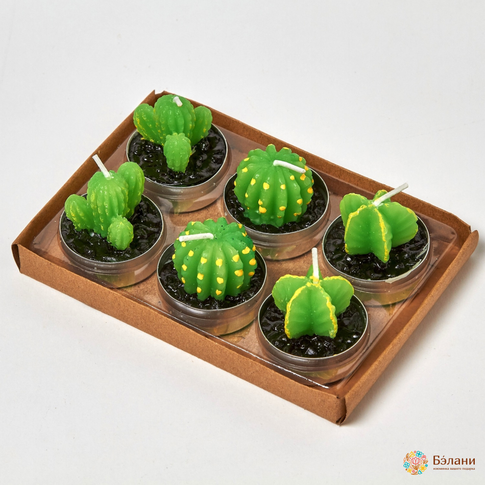 Lumanari "little Cactus No. 2" Amestec