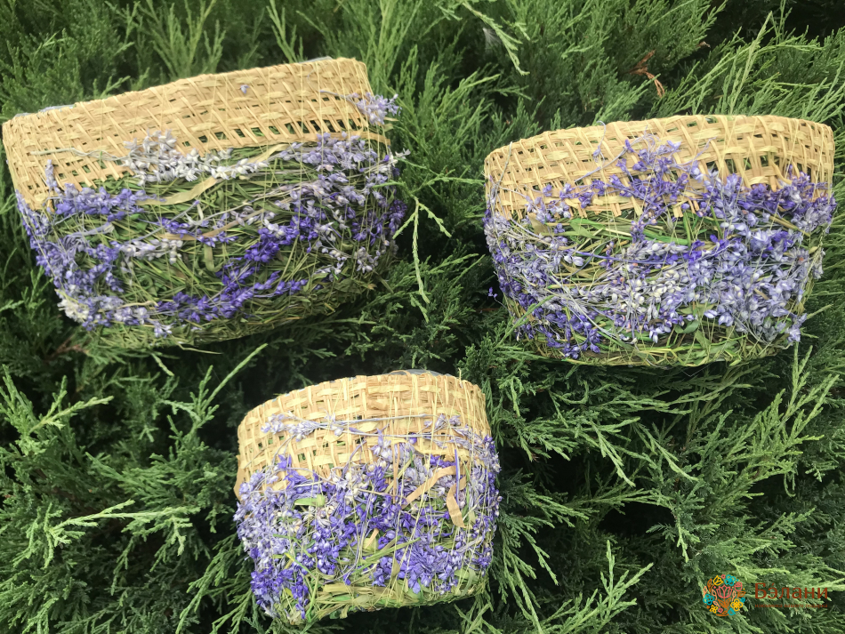 Set Ghivece De Flori „Pădure” Cu Paie Mov