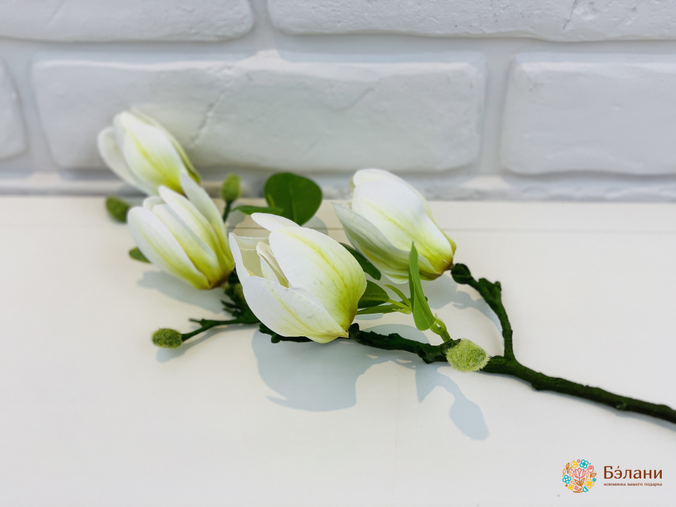 Ramura De Magnolie Albă Și Galbenă