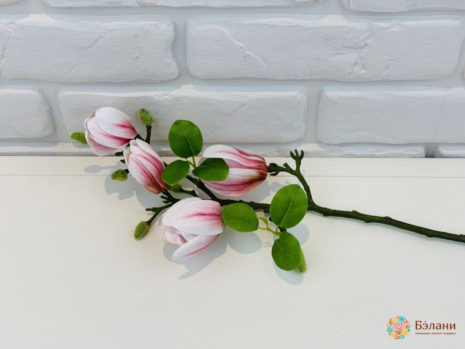 Ramura De Magnolie Albă Și Liliac