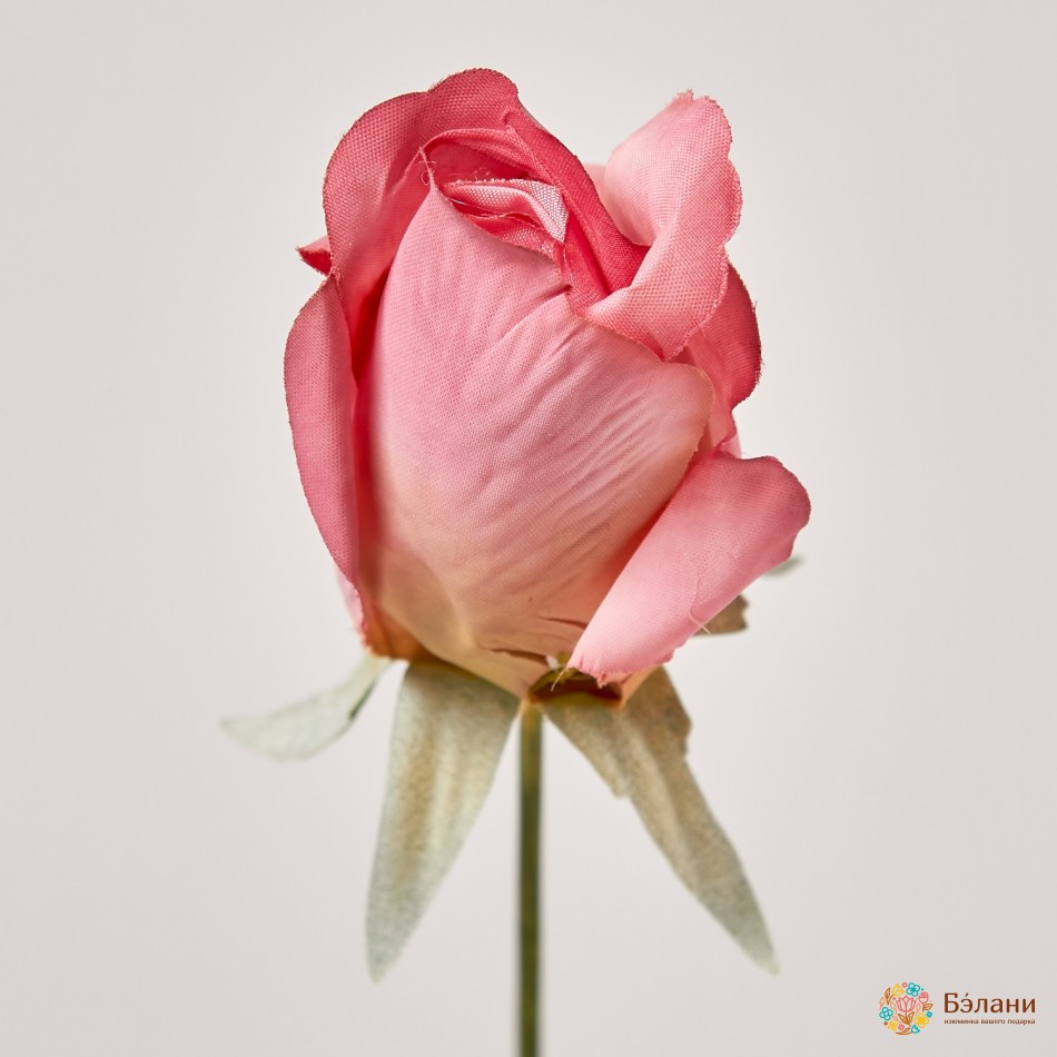 Capetele De Flori „Trandafir Nr. 2” Coral