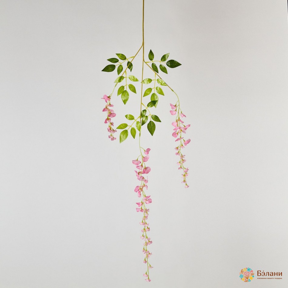 Ramura Wisteria "shine" Roz