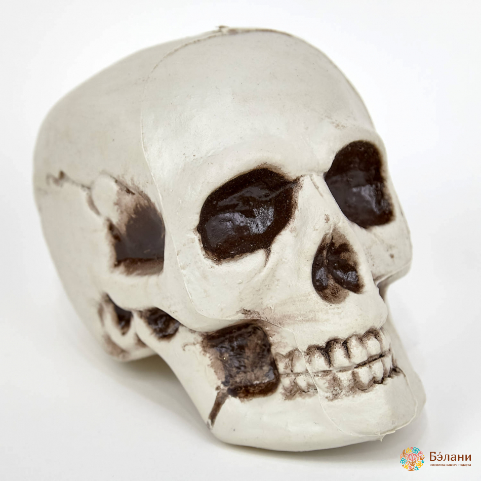 Decor „Crâniu” L