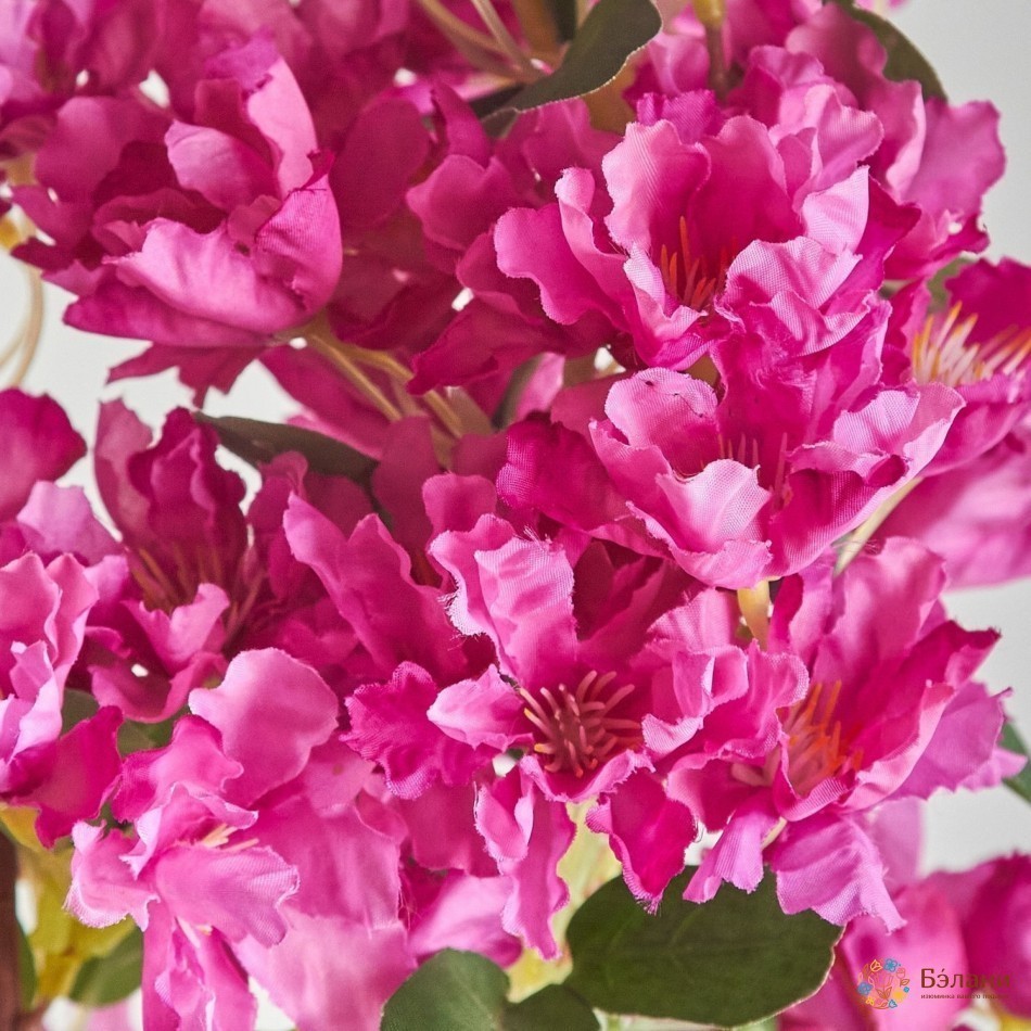 Ramura De Cireș Fucsia | 3