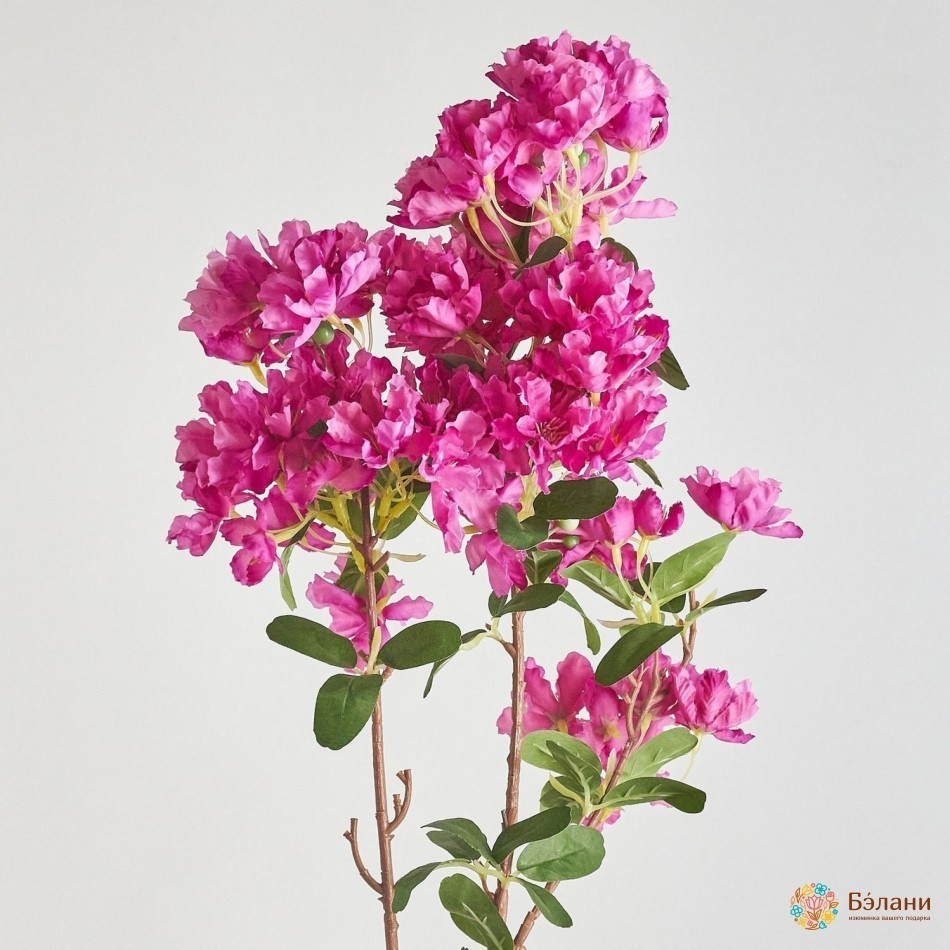 Ramura De Cireș Fucsia | 2