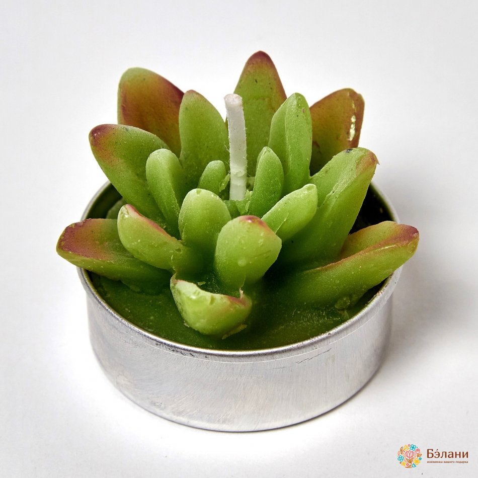 Lumanari "little Cactus No. 1" | 4
