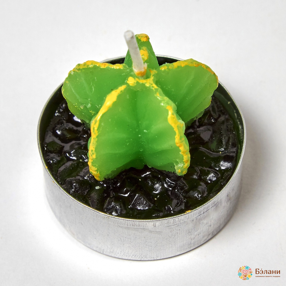 Lumanari "little Cactus No. 2" Amestec | 5