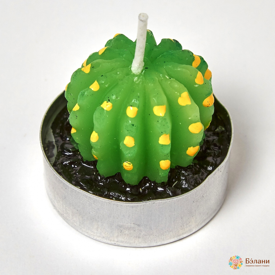 Lumanari "little Cactus No. 2" Amestec | 4