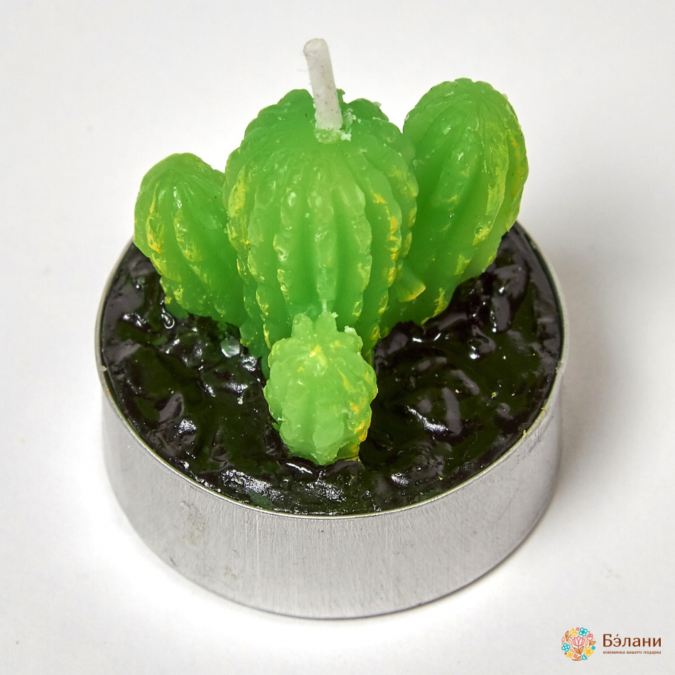 Lumanari "little Cactus No. 2" Amestec | 3