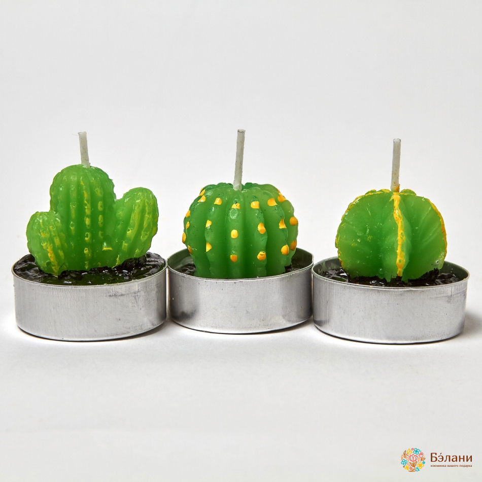 Lumanari "little Cactus No. 2" Amestec | 2