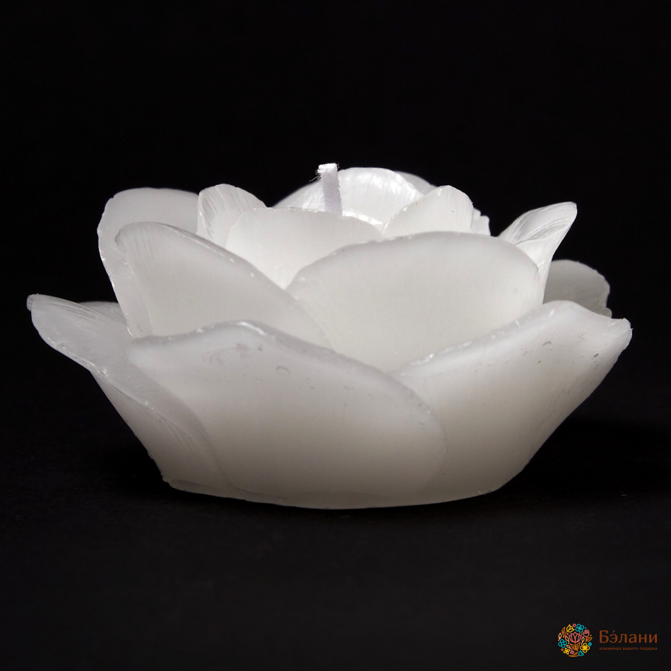 Lumanari "little Rose" 2 Buc. | 4