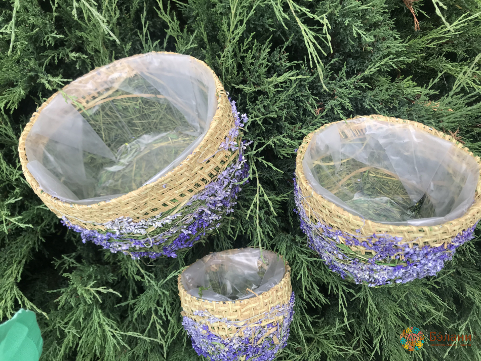 Set Ghivece De Flori „Pădure” Cu Paie Mov | 2