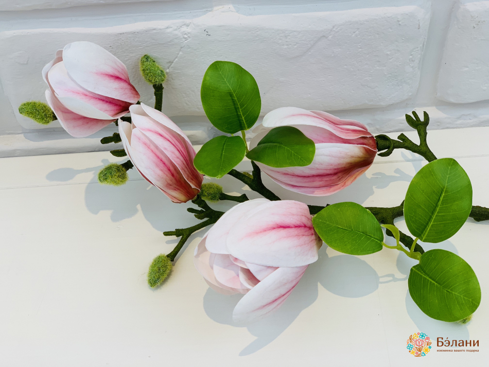 Ramura De Magnolie Albă Și Liliac | 2