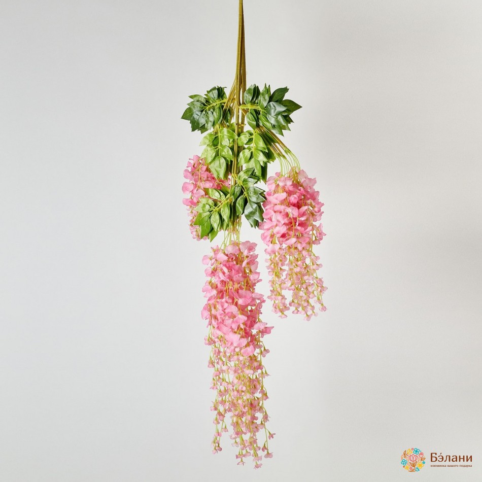 Ramura Wisteria "shine" Roz | 2